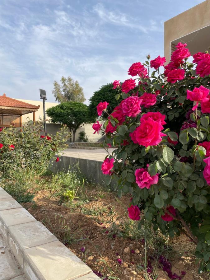 Willa مزرعة النجم Najem Farm Al-Qasr Zewnętrze zdjęcie