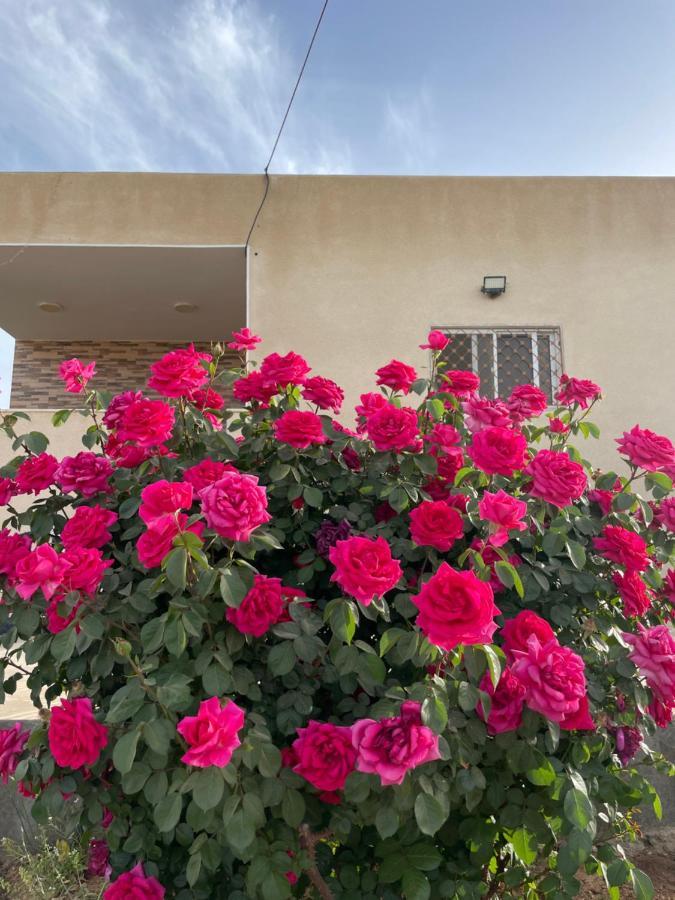 Willa مزرعة النجم Najem Farm Al-Qasr Zewnętrze zdjęcie