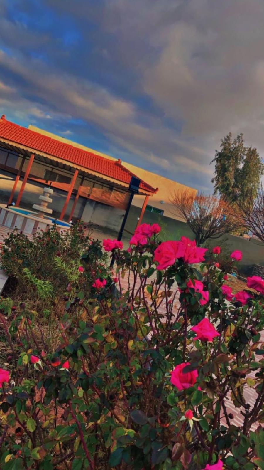 Willa مزرعة النجم Najem Farm Al-Qasr Zewnętrze zdjęcie