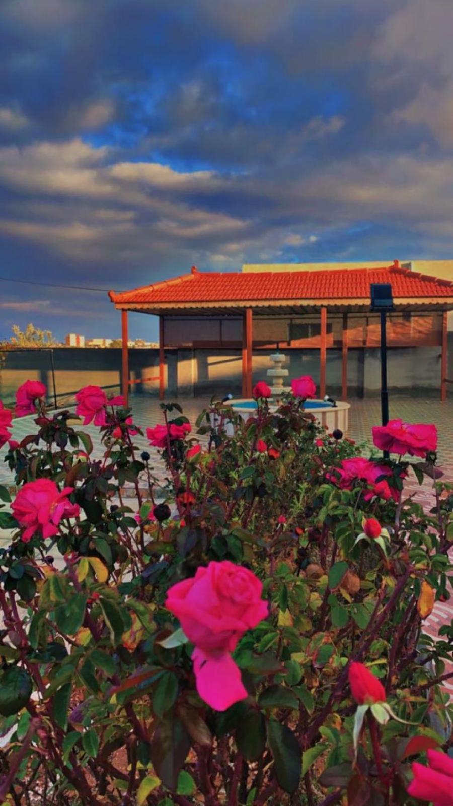 Willa مزرعة النجم Najem Farm Al-Qasr Zewnętrze zdjęcie